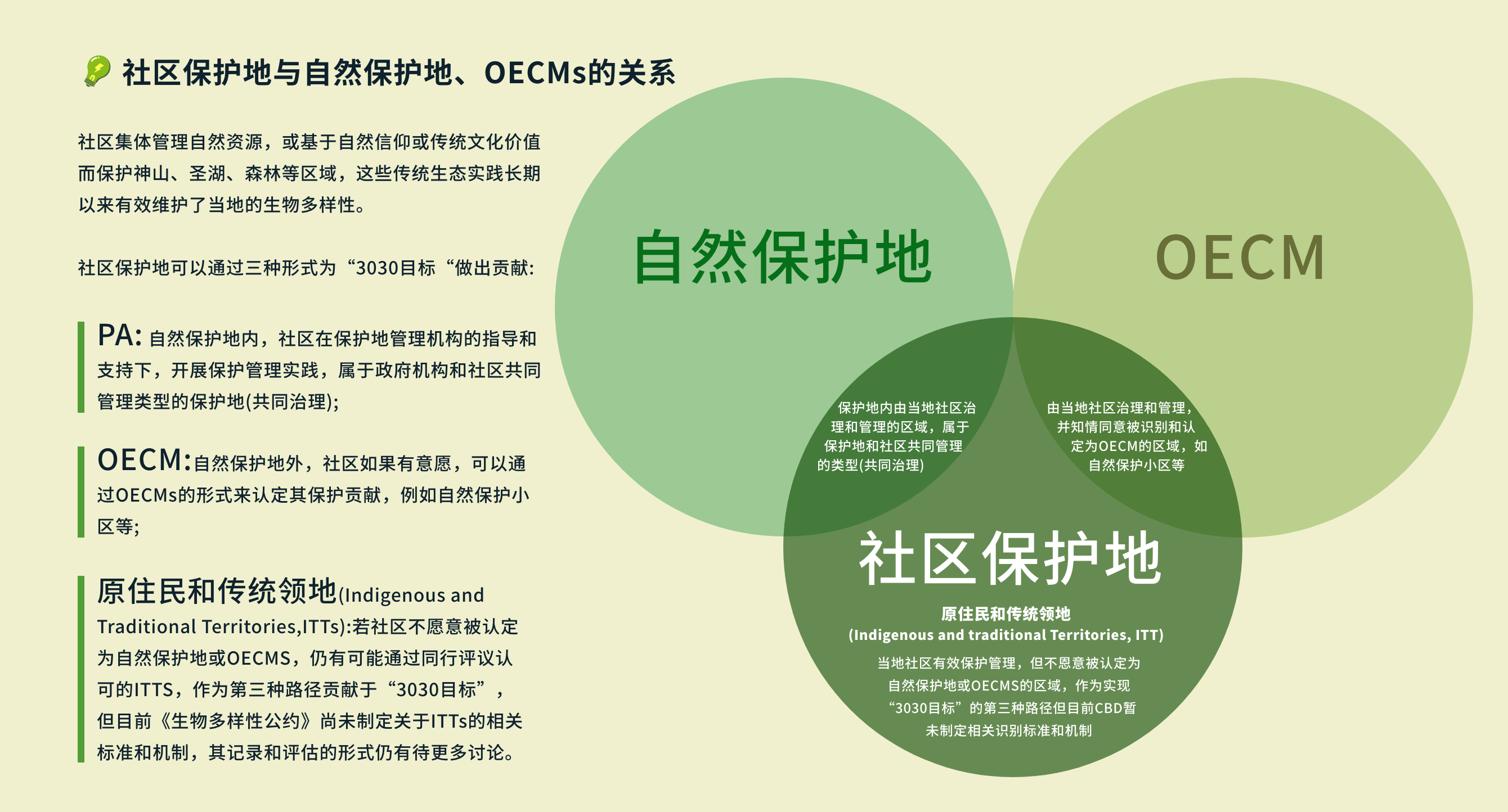 定义及内涵 4